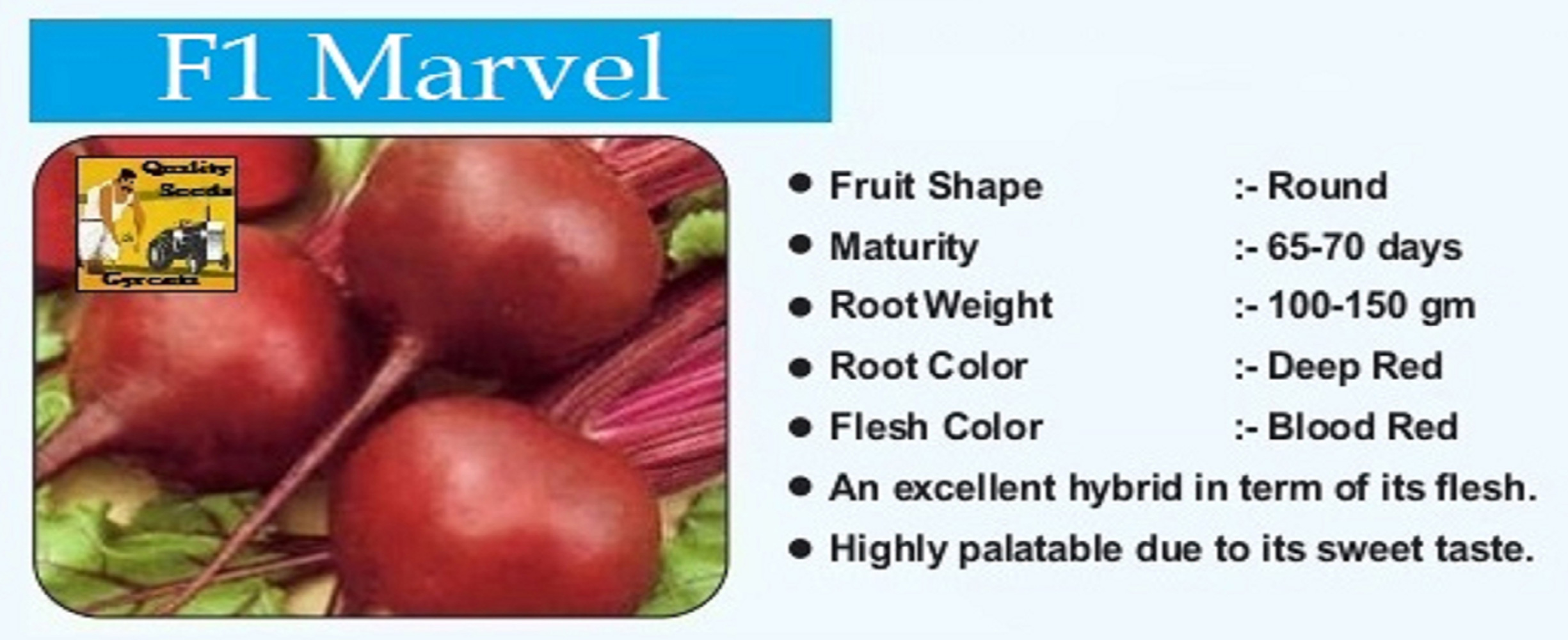 gyrenta hybrid vegetable seeds